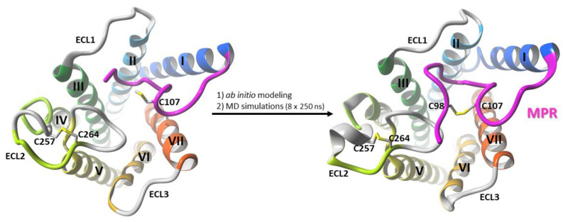 PMC8122825 – molecules-26-02456-f006