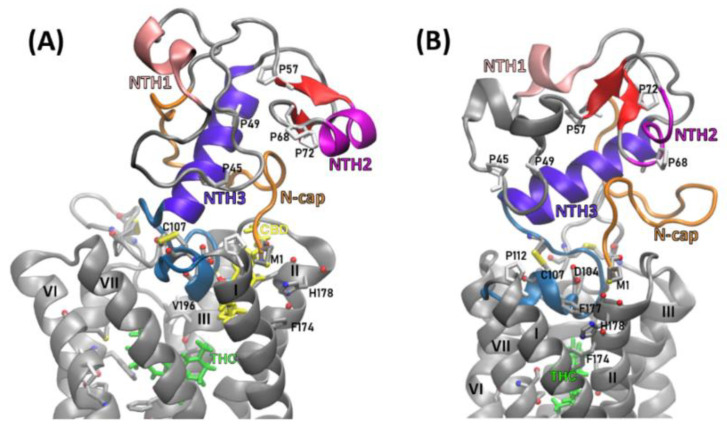PMC8122825 – molecules-26-02456-f007