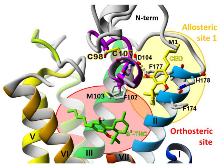 PMC8122825 – molecules-26-02456-f010