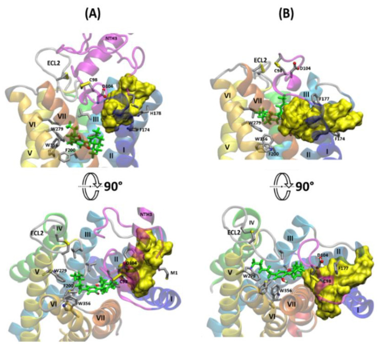 PMC8122825 – molecules-26-02456-f011