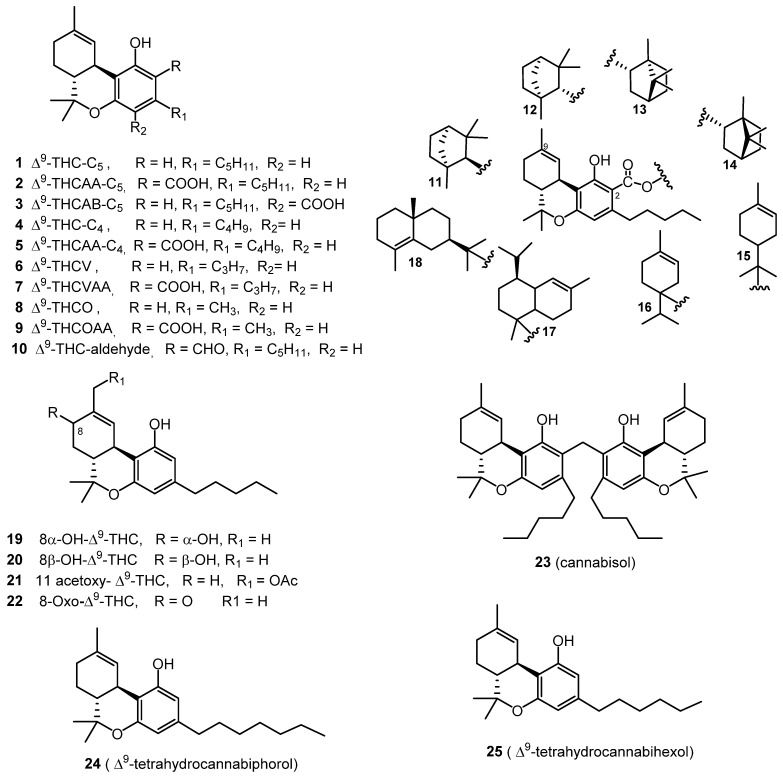 PMC8125862 – molecules-26-02774-f001