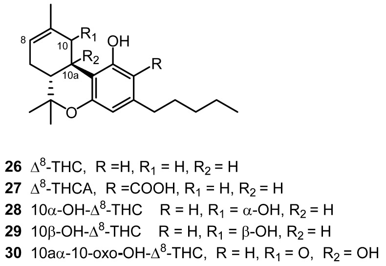 PMC8125862 – molecules-26-02774-f002
