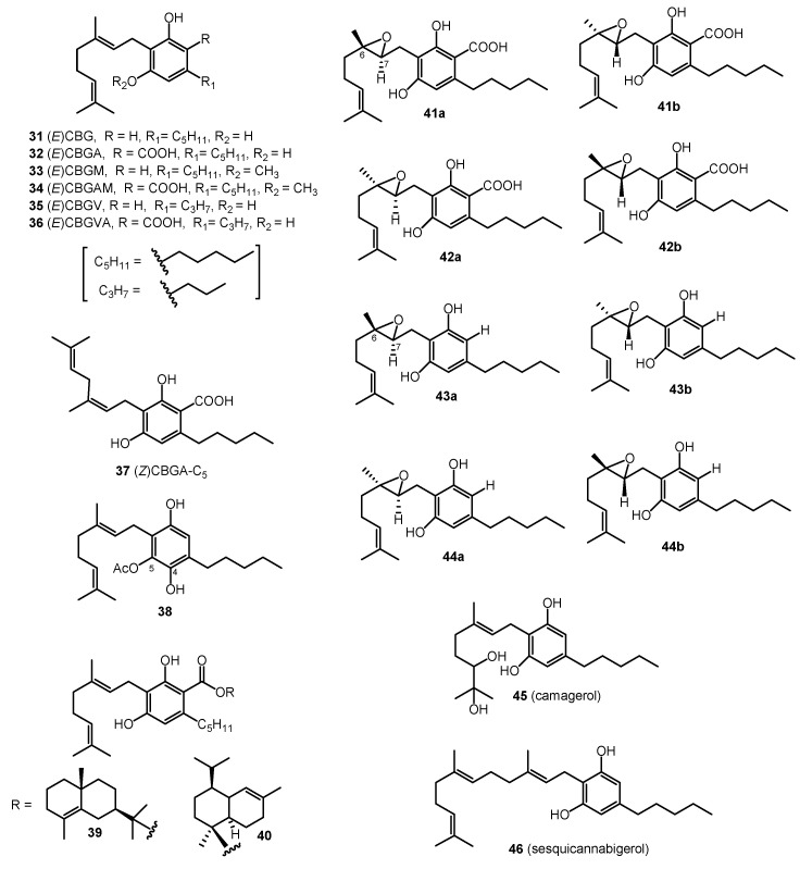 PMC8125862 – molecules-26-02774-f003