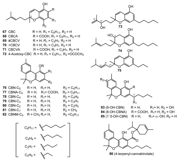 PMC8125862 – molecules-26-02774-f005