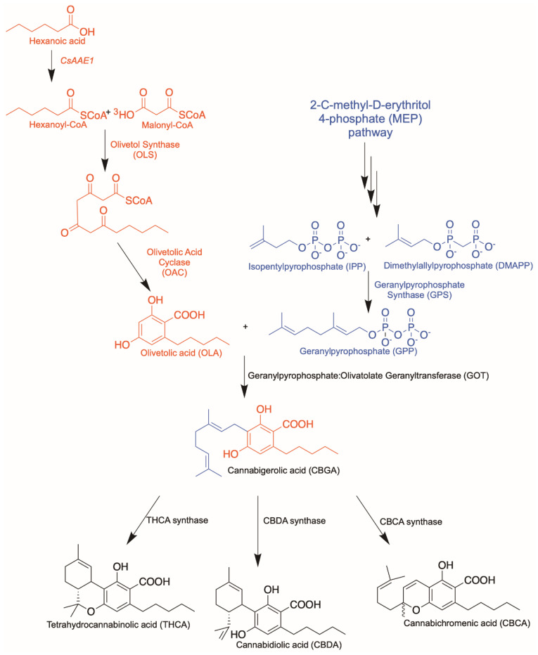 PMC8156804 – molecules-26-02914-f001