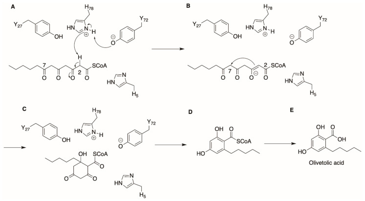 PMC8156804 – molecules-26-02914-f004