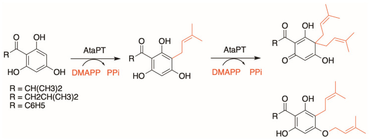 PMC8156804 – molecules-26-02914-f006