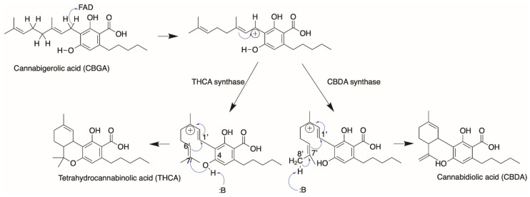 PMC8156804 – molecules-26-02914-f011