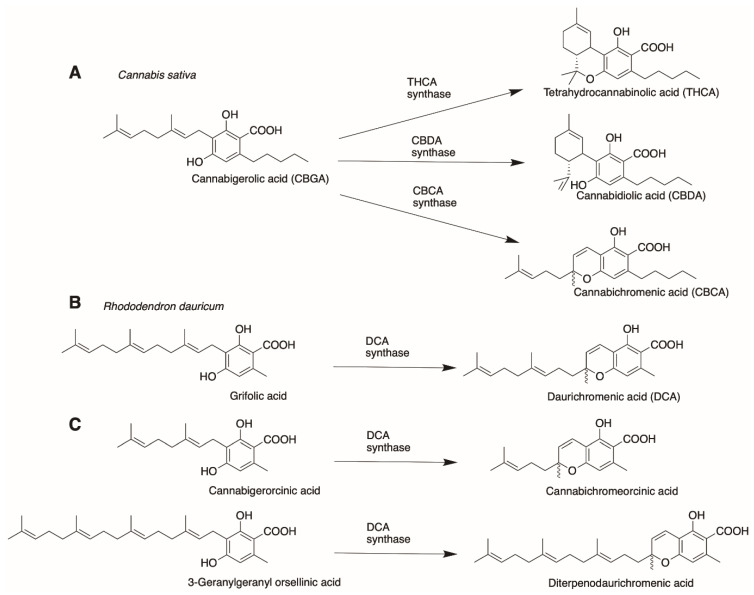 PMC8156804 – molecules-26-02914-f013