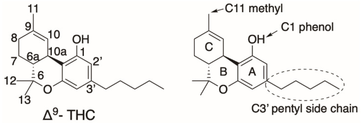 PMC8156804 – molecules-26-02914-f015