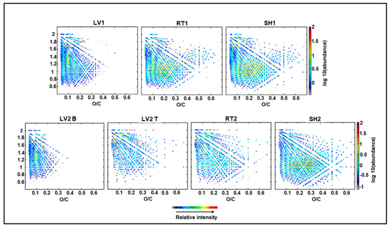 PMC8199470 – molecules-26-03167-f004