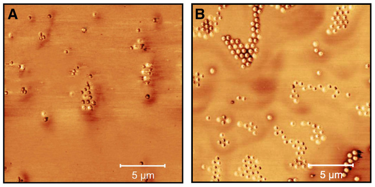 PMC8199058 – molecules-26-03181-f013