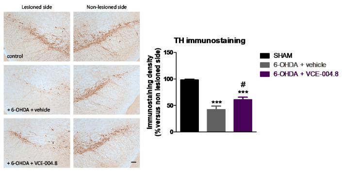 PMC8198479 – molecules-26-03245-f003