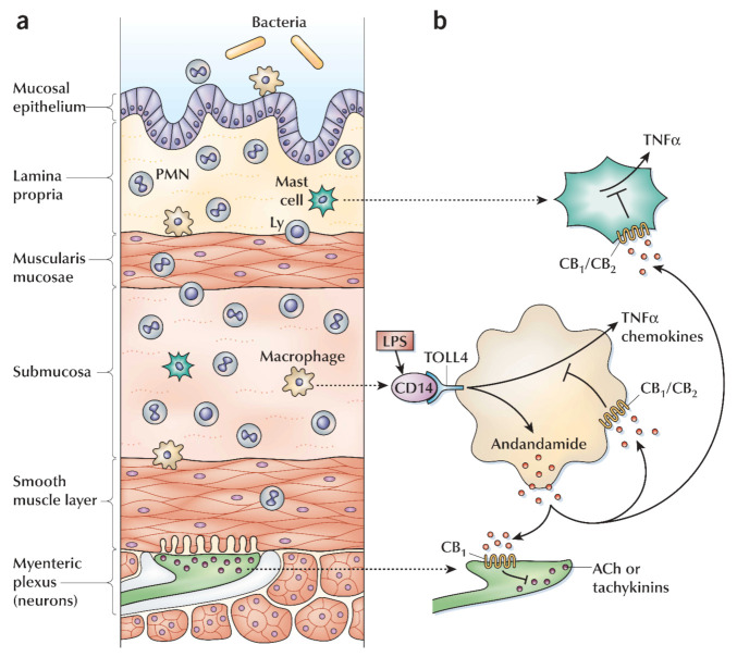 PMC8199938 – molecules-26-03389-f004