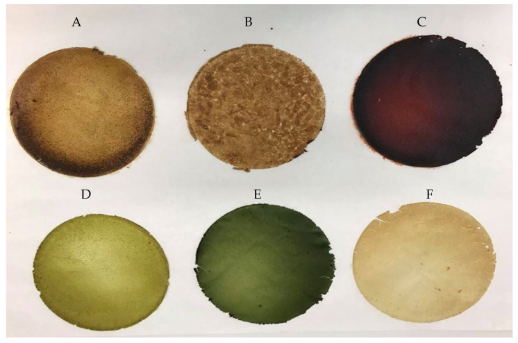 PMC8235767 – molecules-26-03738-f006
