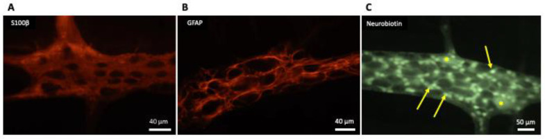 PMC8234579 – molecules-26-03762-f001