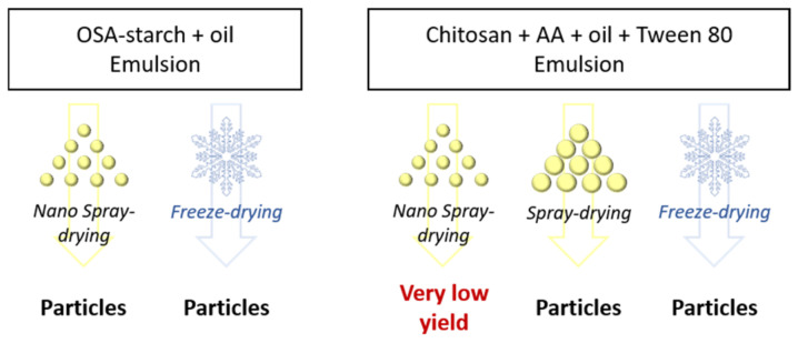 PMC8270288 – molecules-26-03873-f004