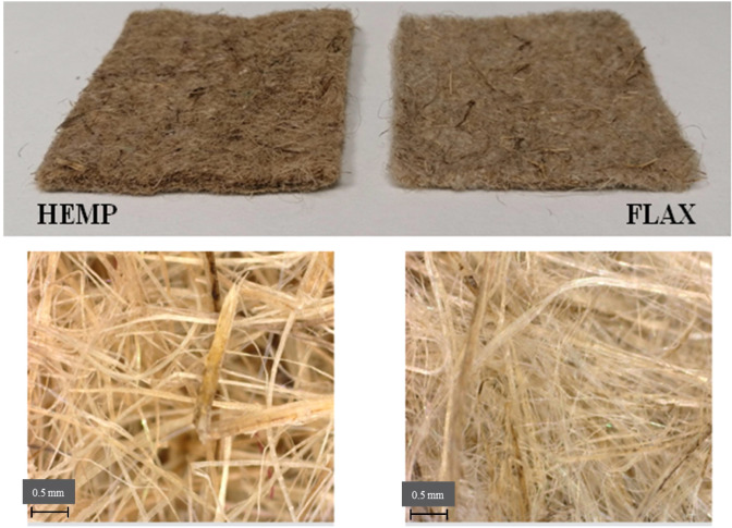 PMC8303383 – molecules-26-04199-f001