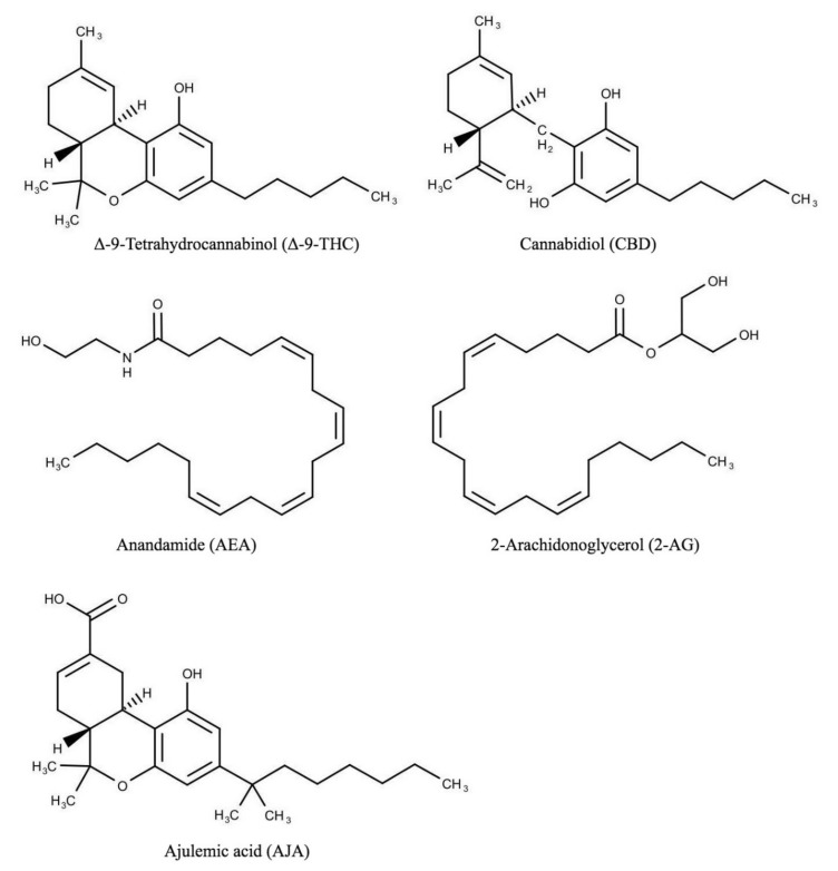 PMC8347461 – molecules-26-04551-f001