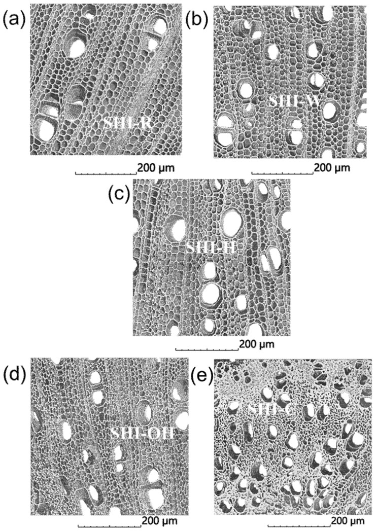 PMC8348367 – molecules-26-04574-f004