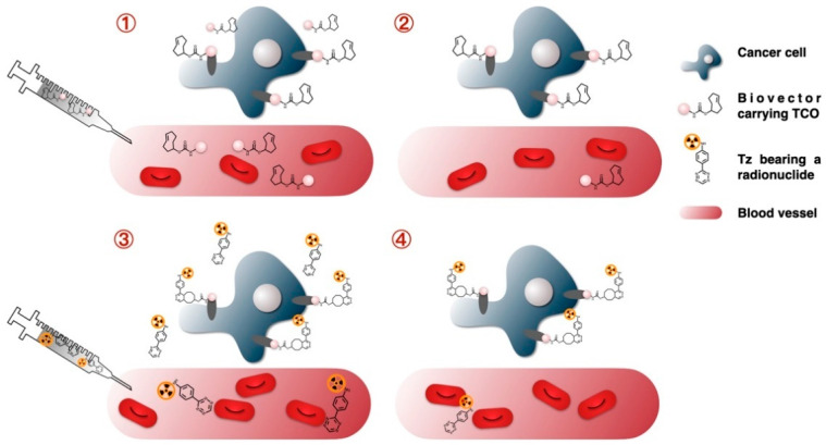 PMC8347371 – molecules-26-04640-f001