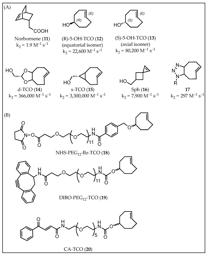 PMC8347371 – molecules-26-04640-f003