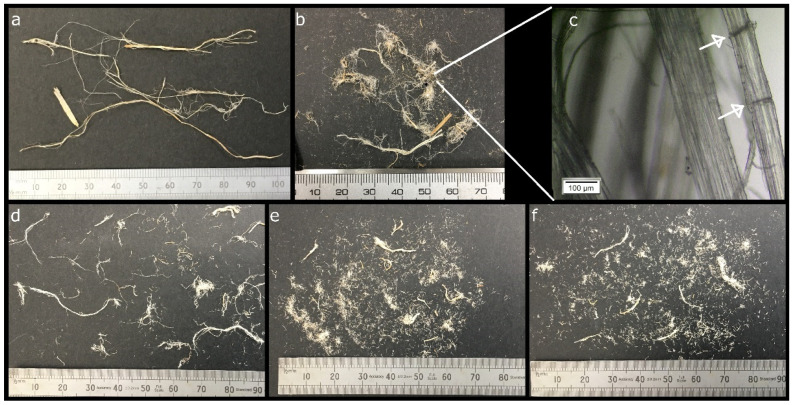 PMC8400396 – molecules-26-04723-f003