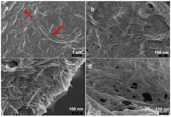PMC8400396 – molecules-26-04723-f006
