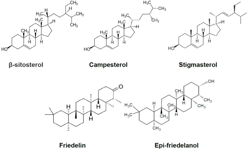 PMC8401984 – molecules-26-04889-f002