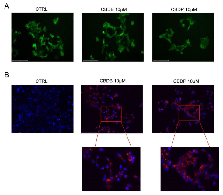 PMC8467640 – molecules-26-05576-f007