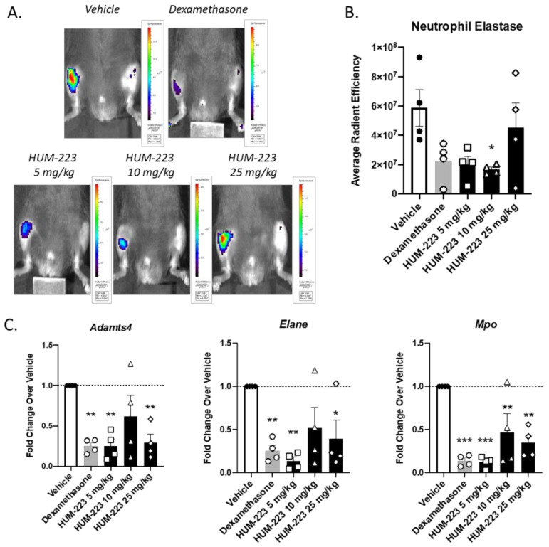 PMC8467477 – molecules-26-05601-f004