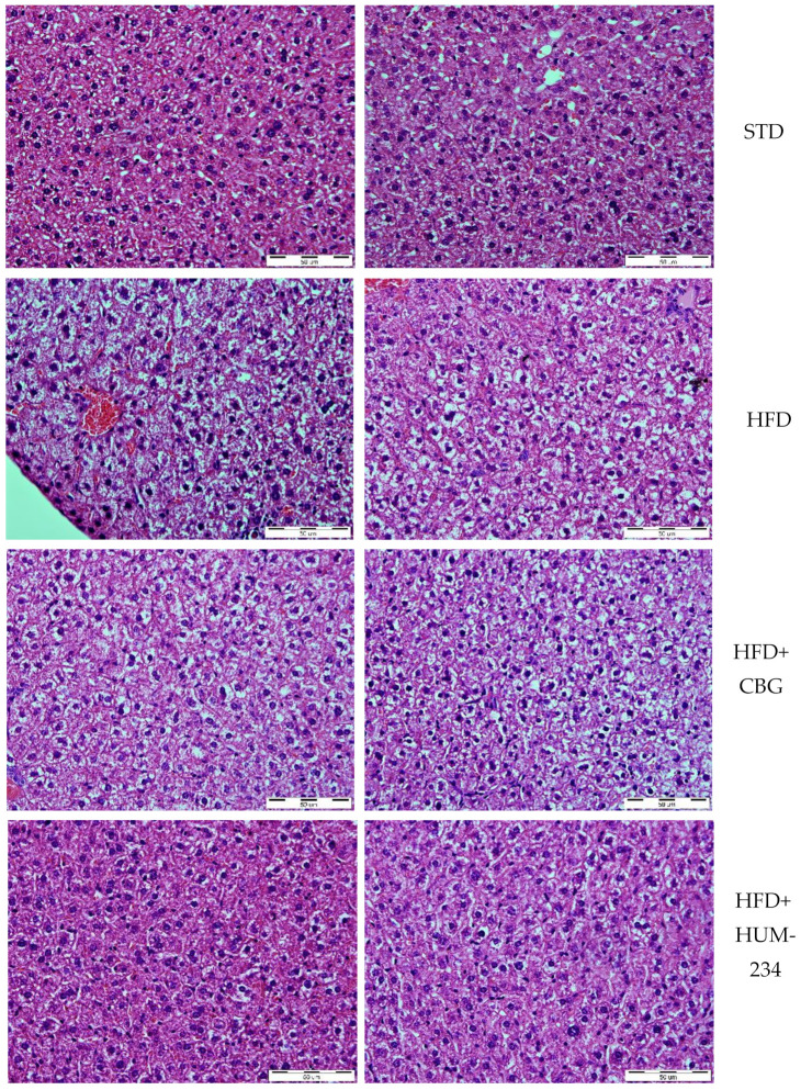 PMC8467477 – molecules-26-05601-f008