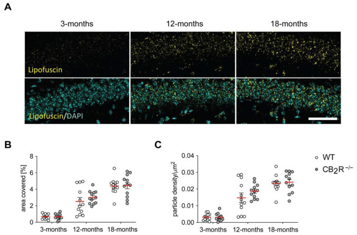 PMC8513097 – molecules-26-05984-f003