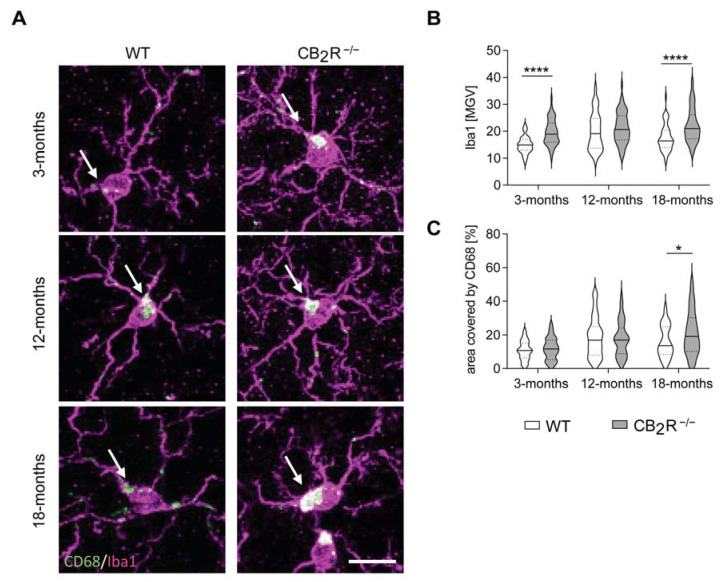 PMC8513097 – molecules-26-05984-f005