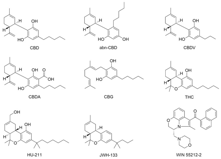 PMC8512311 – molecules-26-06077-f002