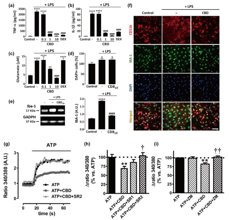PMC8512311 – molecules-26-06077-f004
