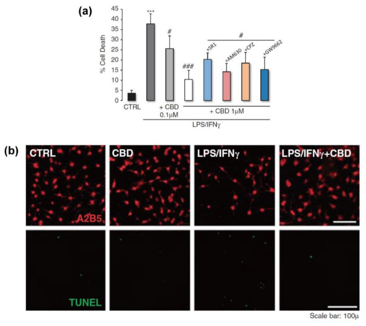 PMC8512311 – molecules-26-06077-f006