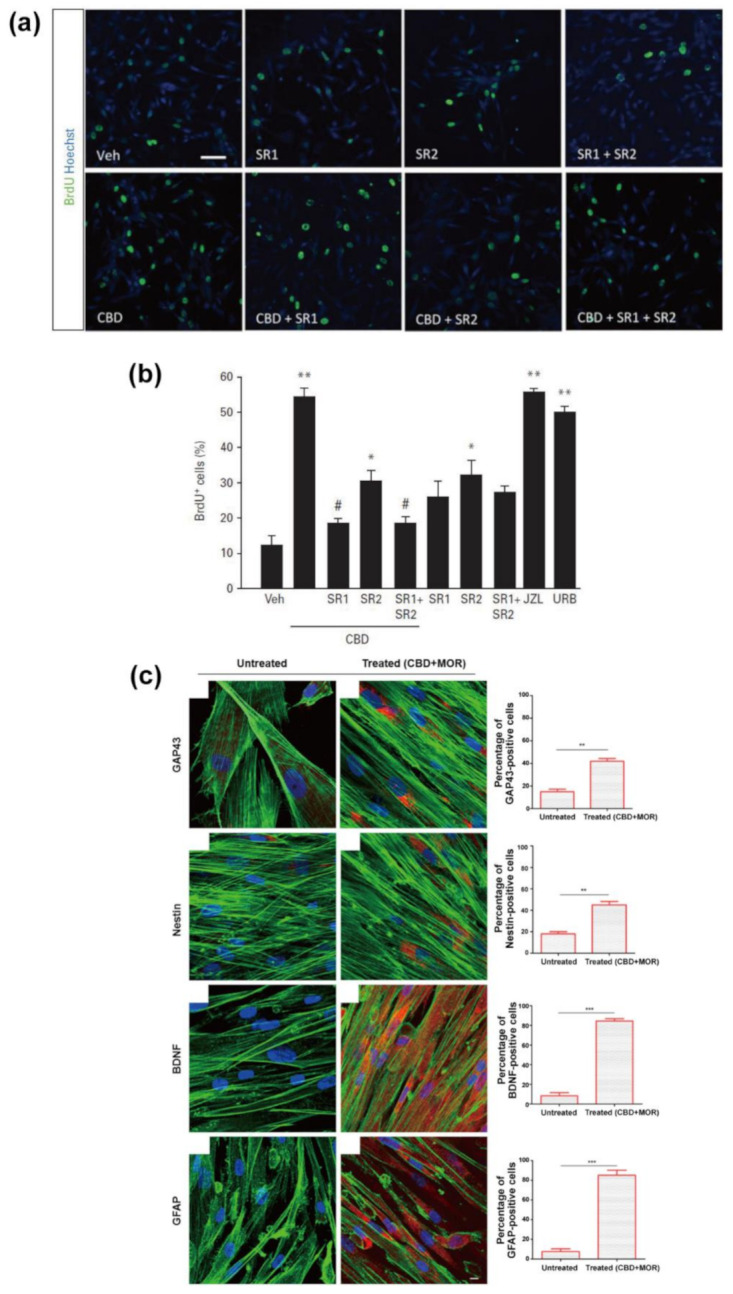 PMC8512311 – molecules-26-06077-f007