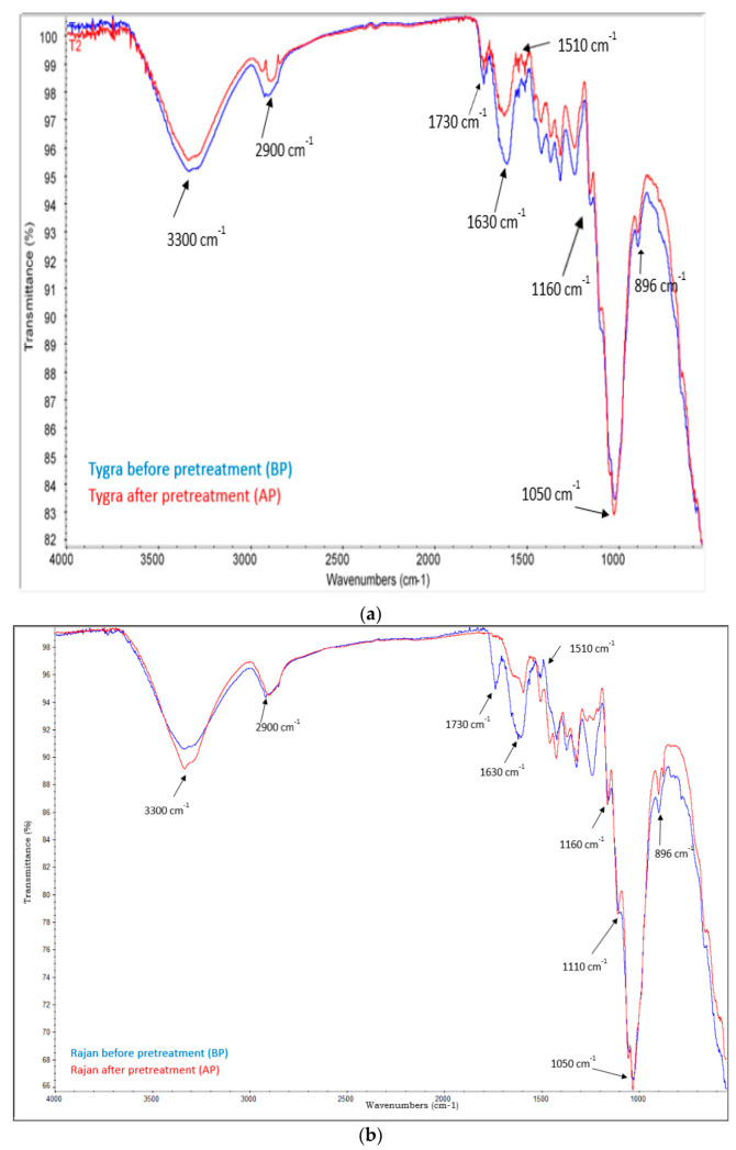 PMC8587792 – molecules-26-06467-f001
