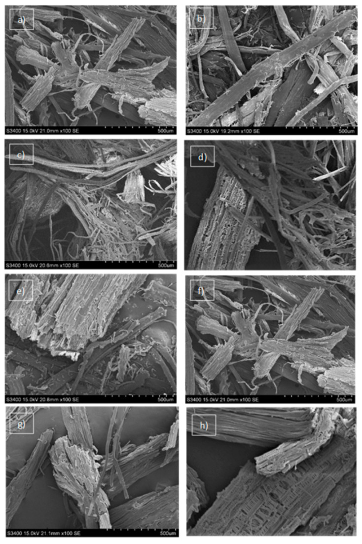 PMC8587792 – molecules-26-06467-f002