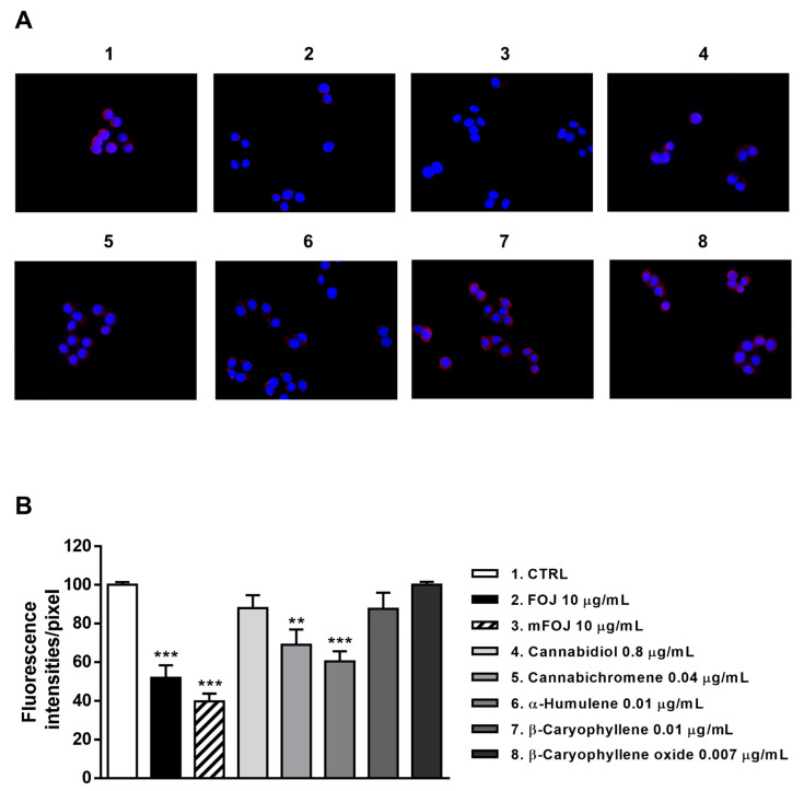 PMC8587411 – molecules-26-06688-f008