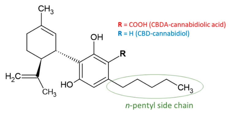 PMC8588477 – molecules-26-06723-f001