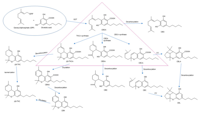 PMC8588477 – molecules-26-06723-f002
