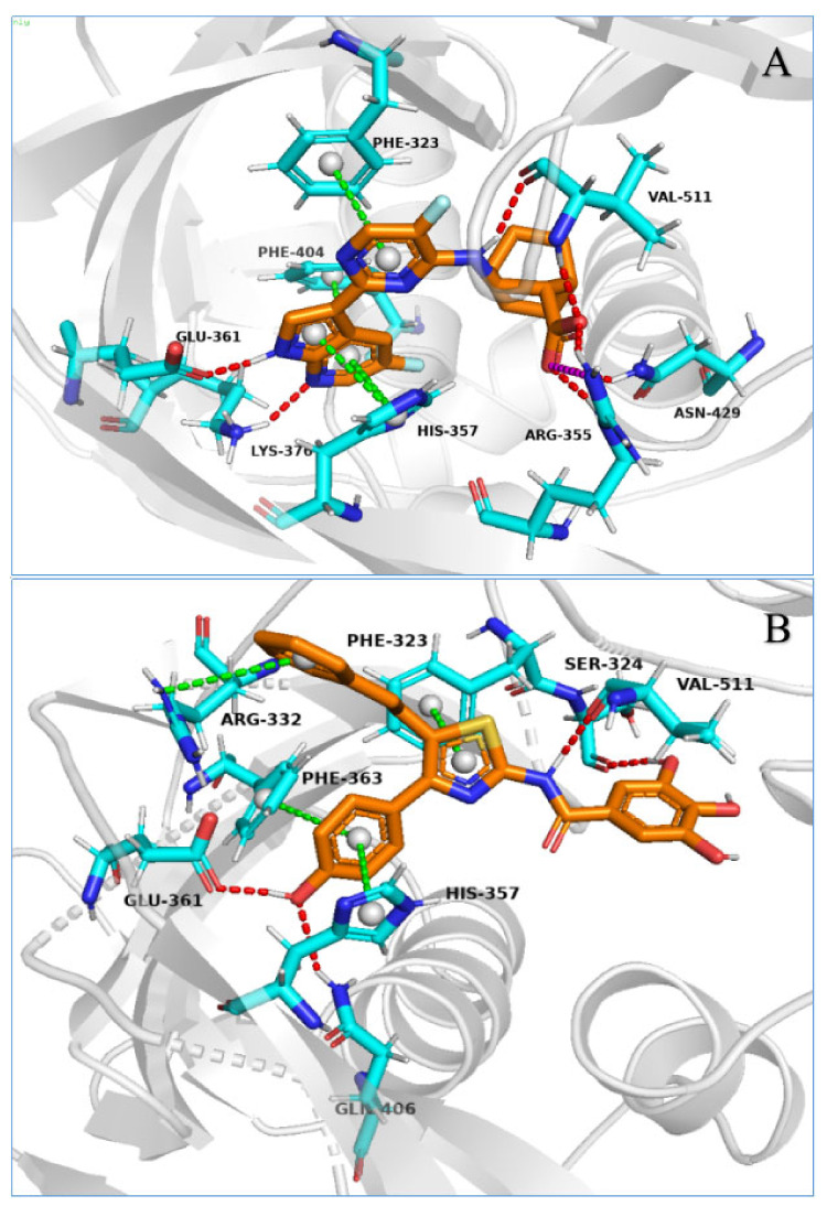 PMC8623395 – molecules-26-06944-f006