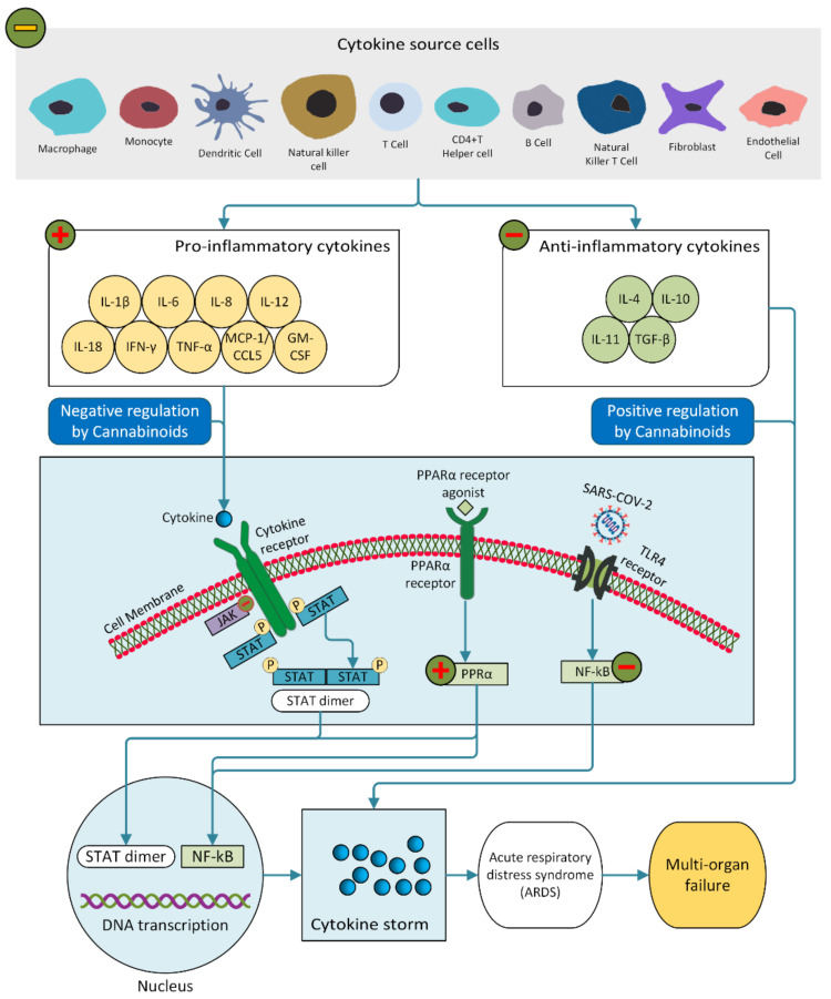PMC8658882 – molecules-26-07216-f003