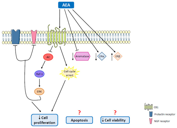 PMC8746990 – molecules-27-00156-f005