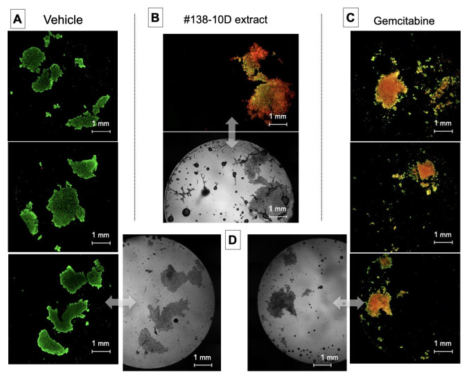 PMC8880463 – molecules-27-01214-f001