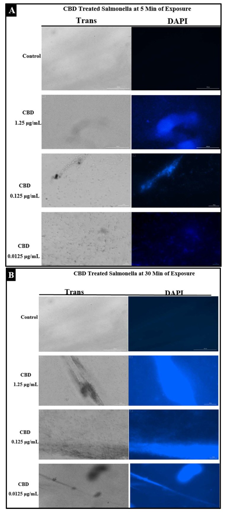 PMC9099639 – molecules-27-02669-f004