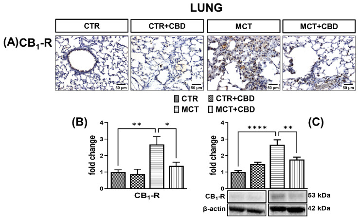 PMC9143935 – molecules-27-03327-f005