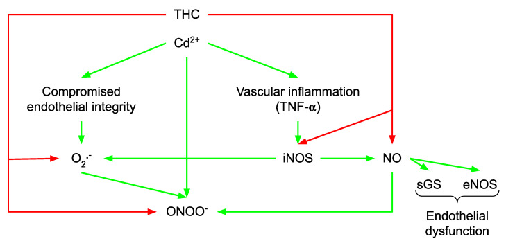 PMC9412611 – molecules-27-05100-f002